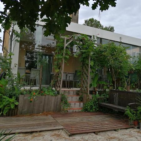 Le Relais De La Praya Bed and Breakfast Lège-Cap-Ferret Eksteriør billede