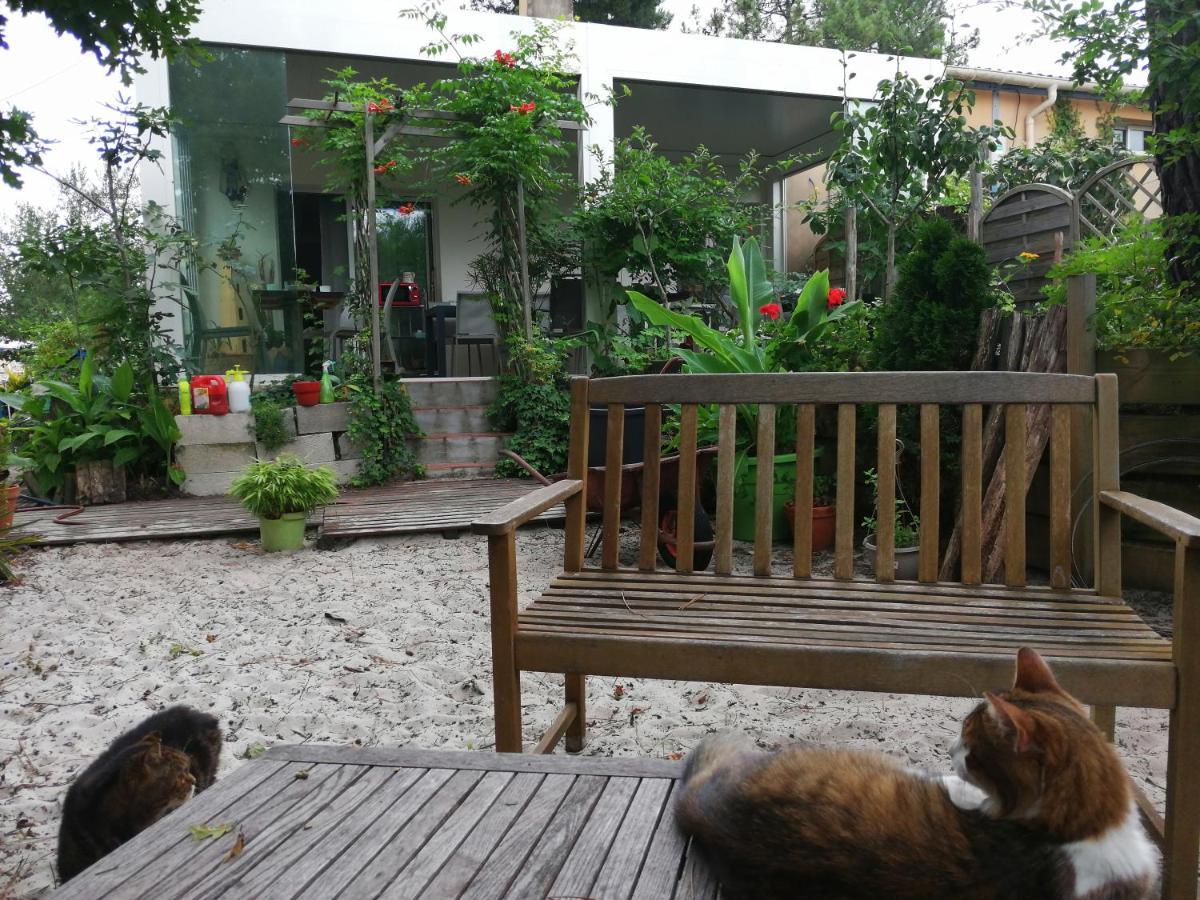 Le Relais De La Praya Bed and Breakfast Lège-Cap-Ferret Eksteriør billede