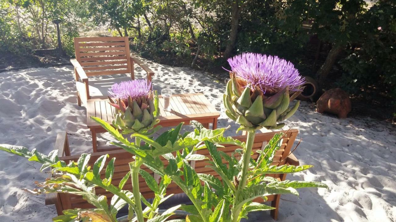 Le Relais De La Praya Bed and Breakfast Lège-Cap-Ferret Eksteriør billede